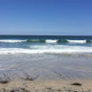 Meet your Posher, Gillian